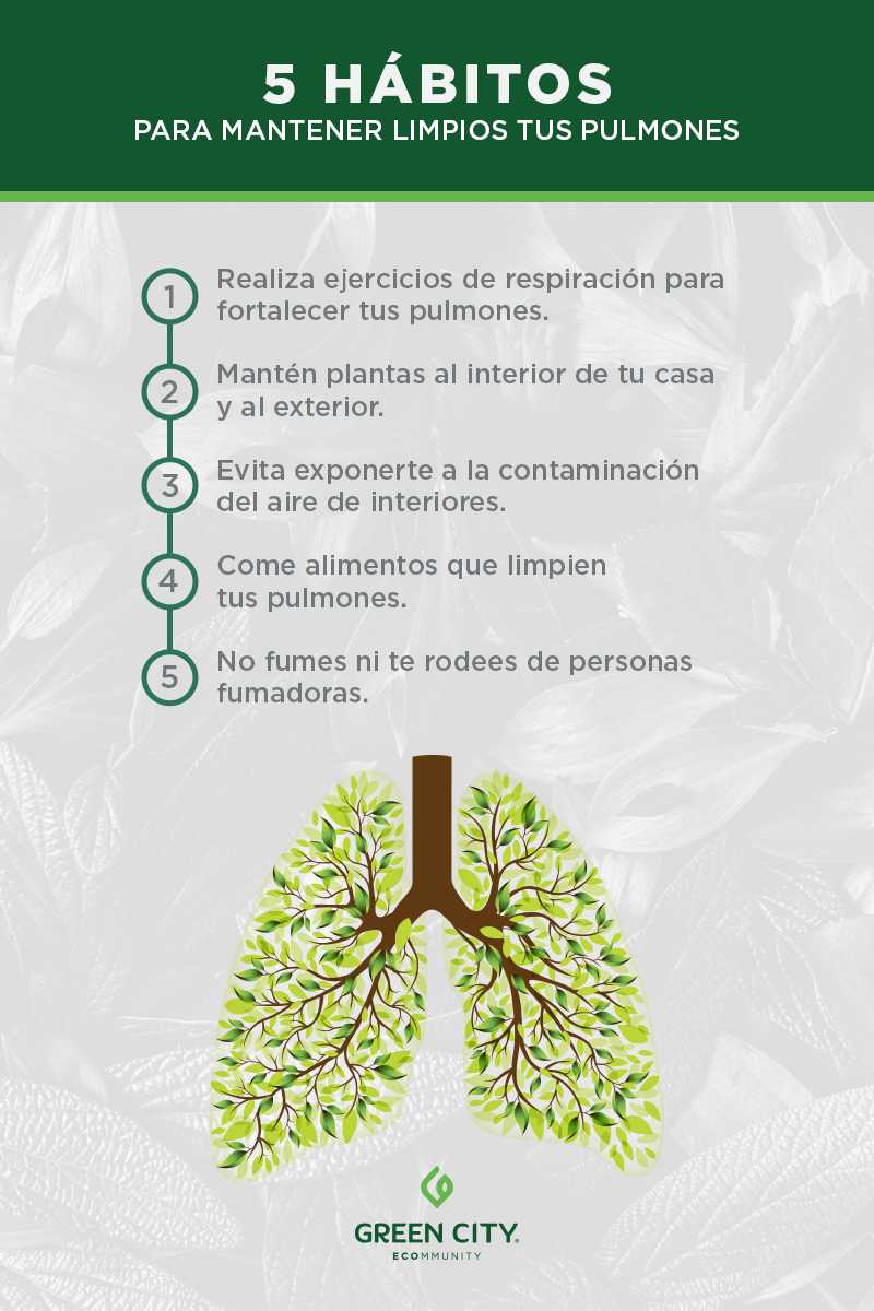 aire limpio, mantener limpios tus pulmones, habitos